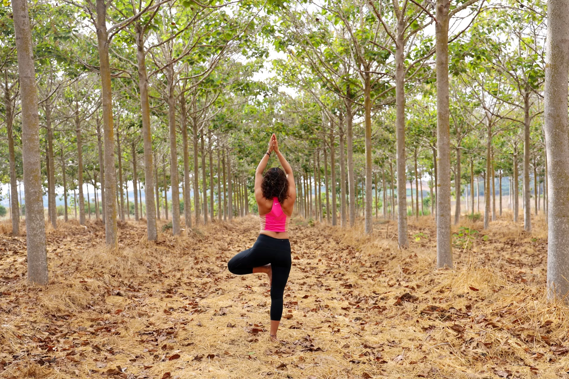 Vrikshasana (Tree Pose)